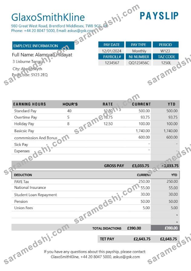 GlaxoSmithKline pharmaceutical company payslip template in Word and PDF formats.pdf, 1